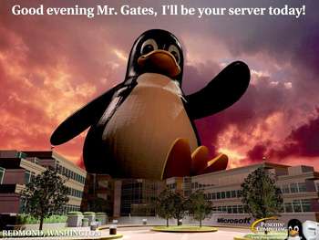 redhat3.jpg